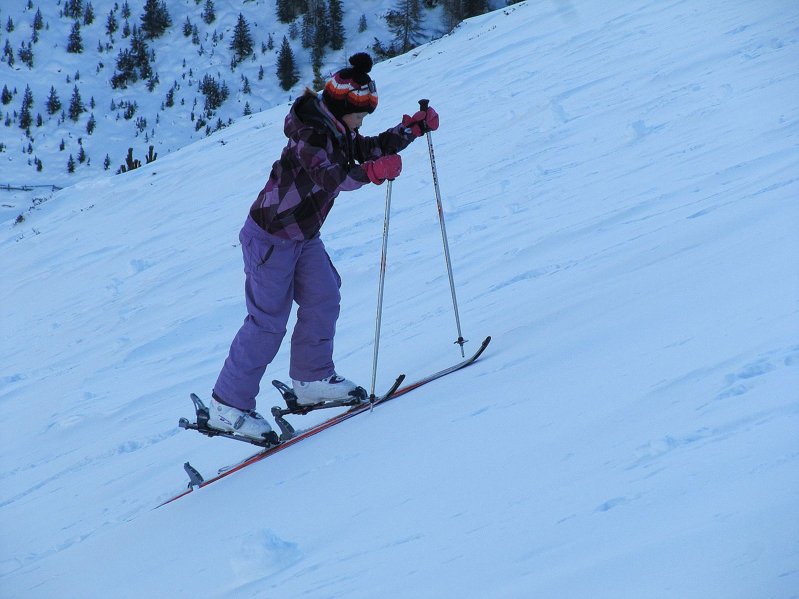 Ski touring course - 3 days