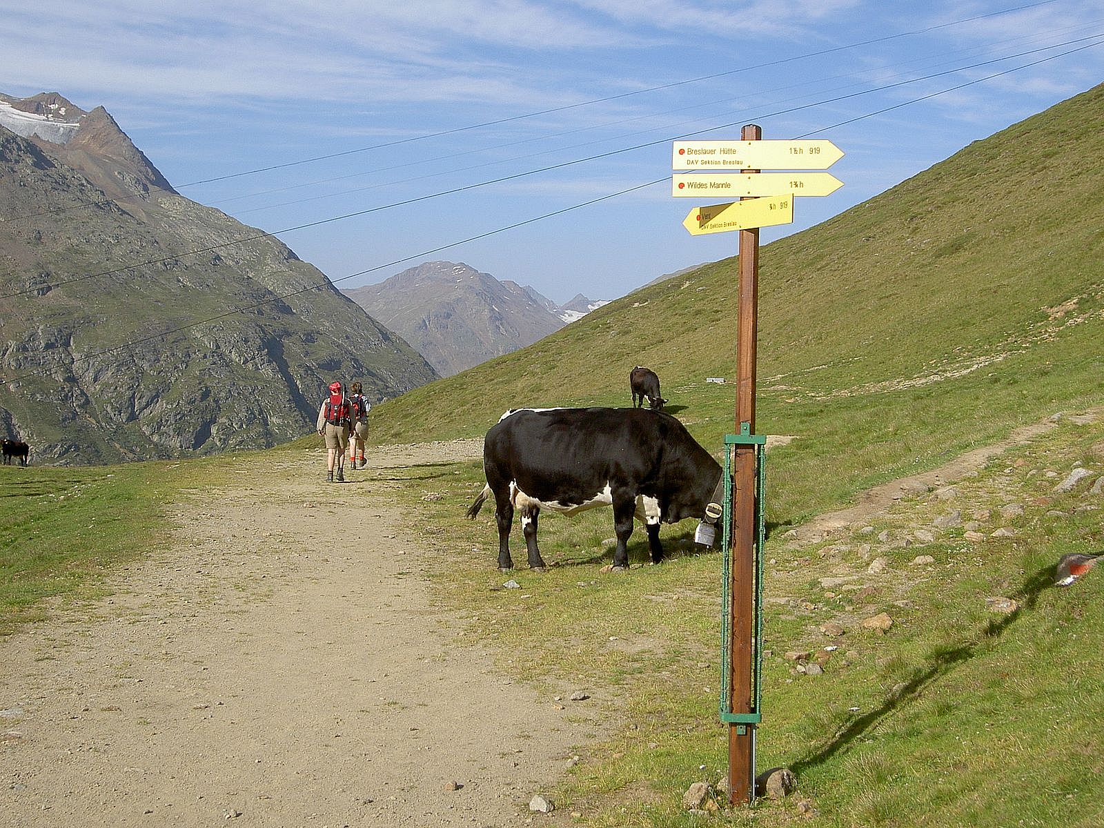 Leichte Venter Gletschertour